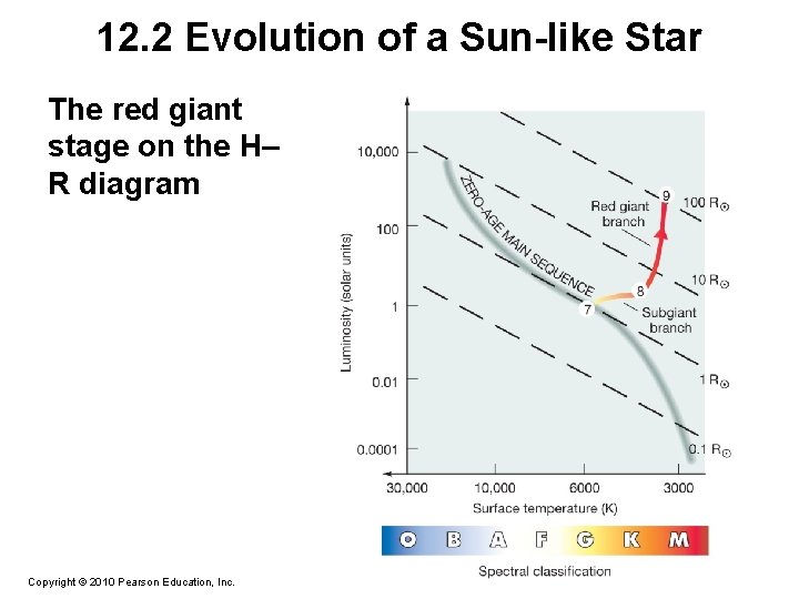 12. 2 Evolution of a Sun-like Star The red giant stage on the H–