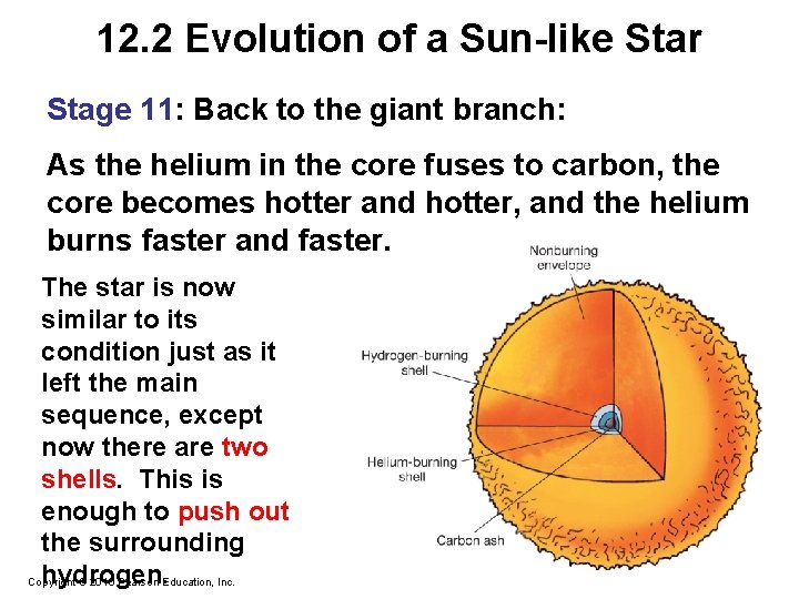 12. 2 Evolution of a Sun-like Star Stage 11: Back to the giant branch: