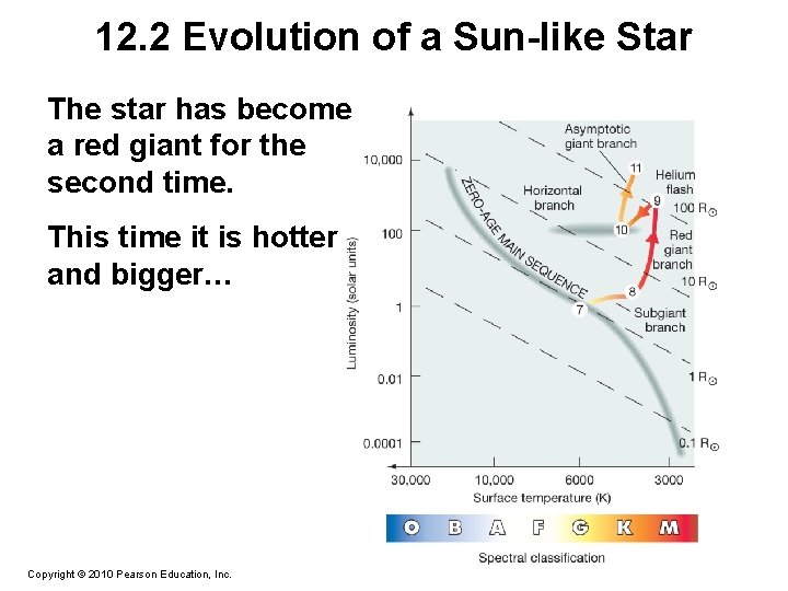 12. 2 Evolution of a Sun-like Star The star has become a red giant