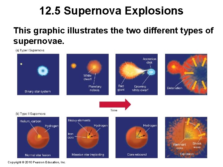 12. 5 Supernova Explosions This graphic illustrates the two different types of supernovae. Copyright