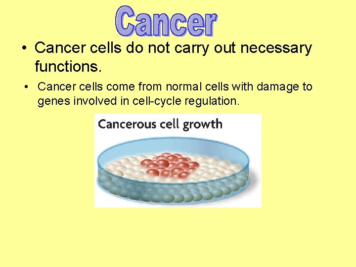  • Cancer cells do not carry out necessary functions. • Cancer cells come