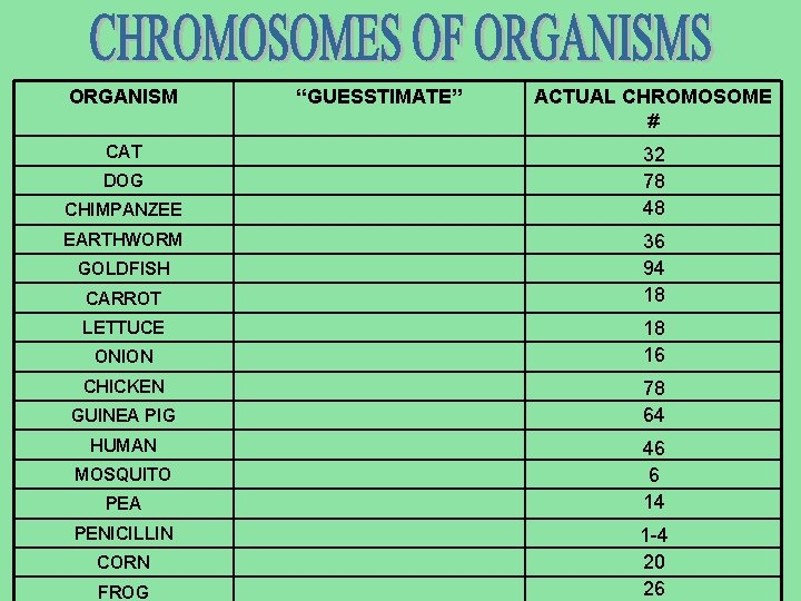 ORGANISM CAT DOG CHIMPANZEE EARTHWORM GOLDFISH CARROT LETTUCE ONION CHICKEN GUINEA PIG HUMAN MOSQUITO