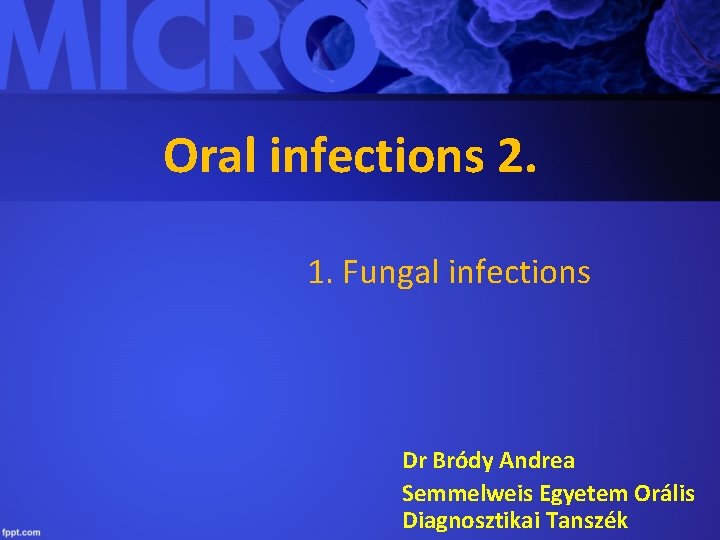 Oral infections 2. 1. Fungal infections Dr Bródy Andrea Semmelweis Egyetem Orális Diagnosztikai Tanszék