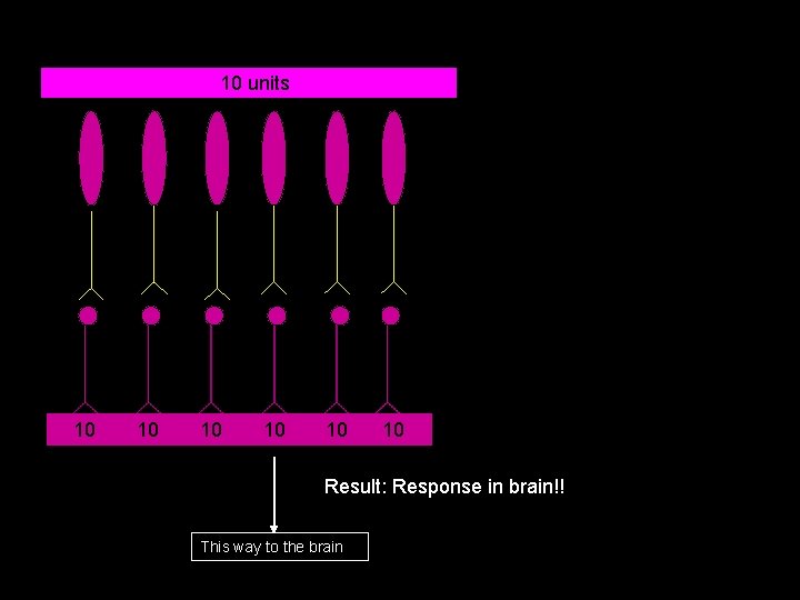 102 units 10 10 10 Result: Response in brain!! This way to the brain