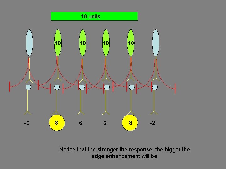 10 units -2 10 10 8 6 6 8 -2 Notice that the stronger