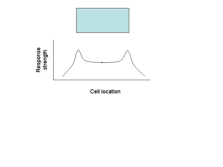 Cell location Response strength 
