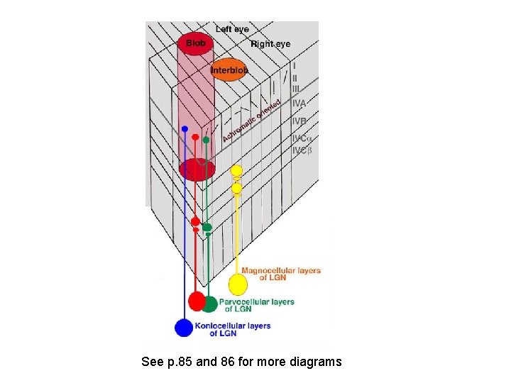 See p. 85 and 86 for more diagrams 