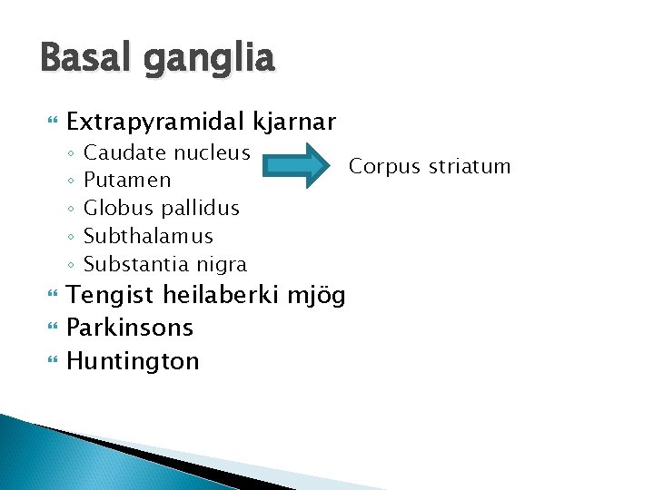 Basal ganglia Extrapyramidal kjarnar ◦ ◦ ◦ Caudate nucleus Putamen Globus pallidus Subthalamus Substantia