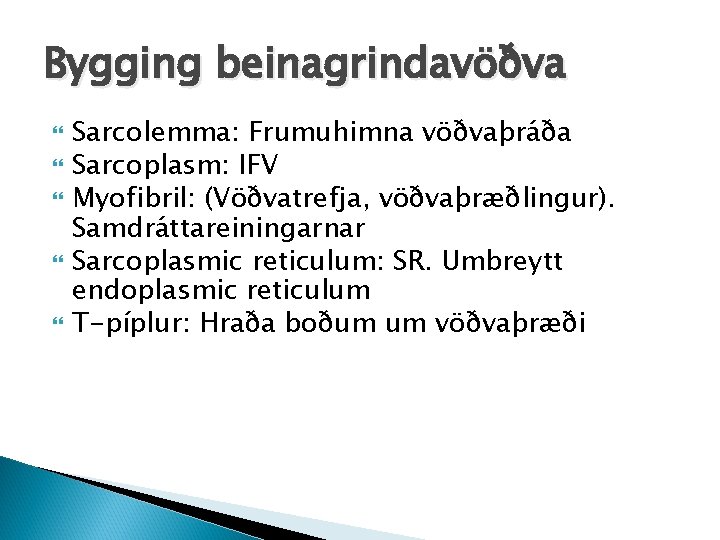 Bygging beinagrindavöðva Sarcolemma: Frumuhimna vöðvaþráða Sarcoplasm: IFV Myofibril: (Vöðvatrefja, vöðvaþræðlingur). Samdráttareiningarnar Sarcoplasmic reticulum: SR.