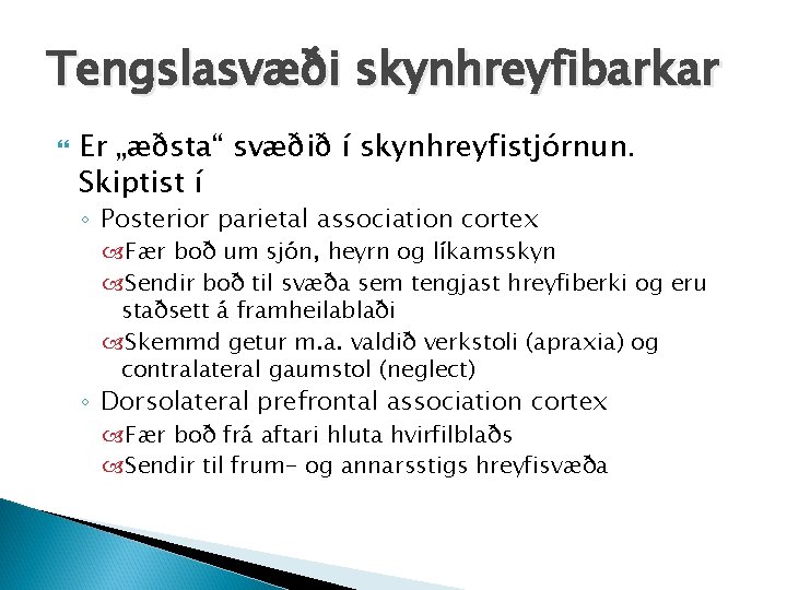 Tengslasvæði skynhreyfibarkar Er „æðsta“ svæðið í skynhreyfistjórnun. Skiptist í ◦ Posterior parietal association cortex