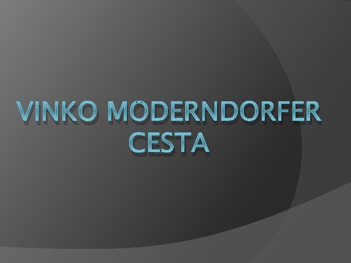 VINKO MÖDERNDORFER CESTA 