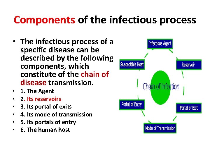 Components of the infectious process • The infectious process of a specific disease can