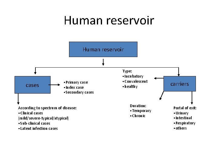 Human reservoir cases • Primary case • Index case • Secondary cases According to