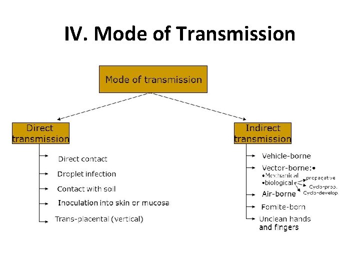 IV. Mode of Transmission 