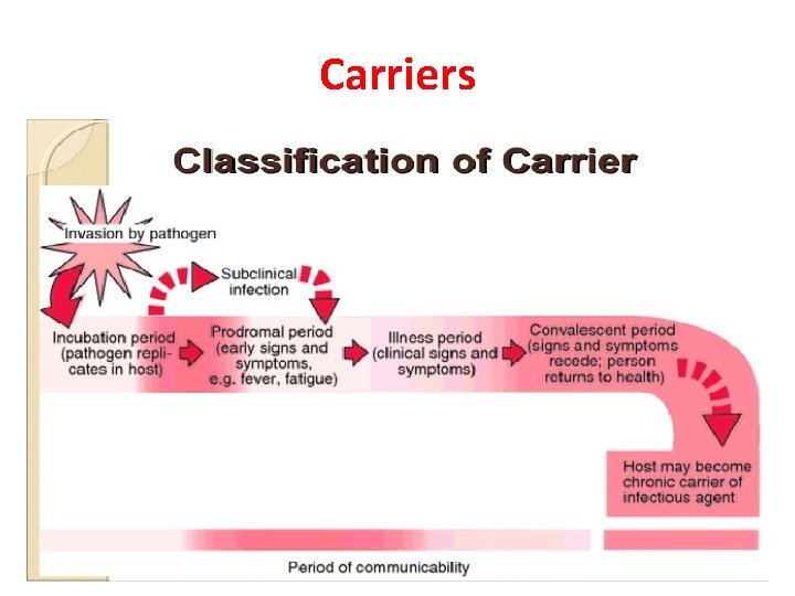 Carriers 