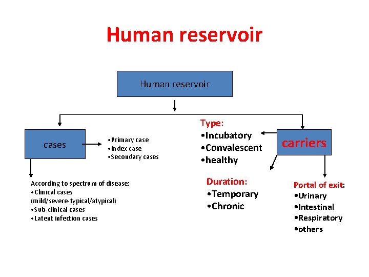 Human reservoir cases • Primary case • Index case • Secondary cases According to