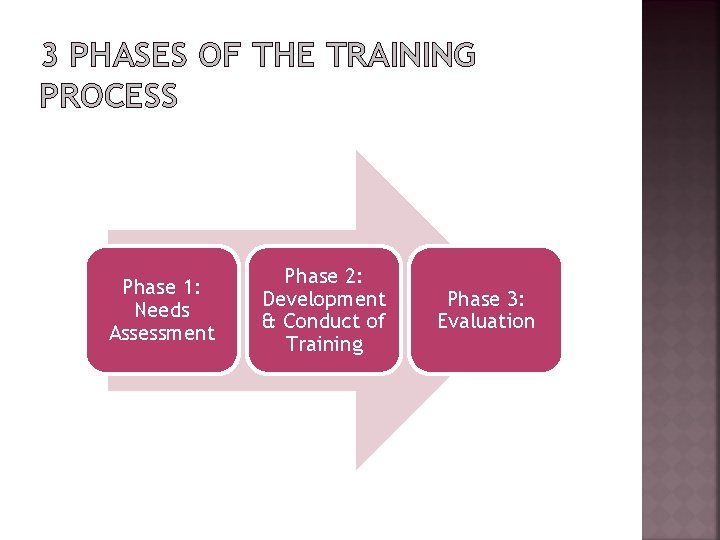CHAPTER 8 TRAINING AND DEVELOPMENT MGT 3513 Introduction