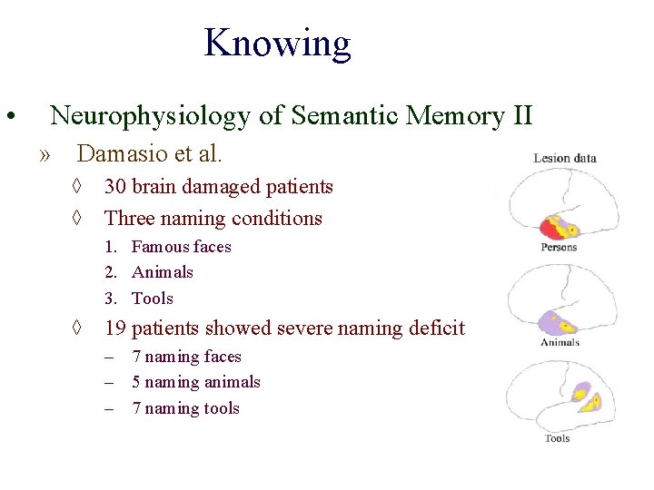 Knowing • Neurophysiology of Semantic Memory II » Damasio et al. ◊ 30 brain