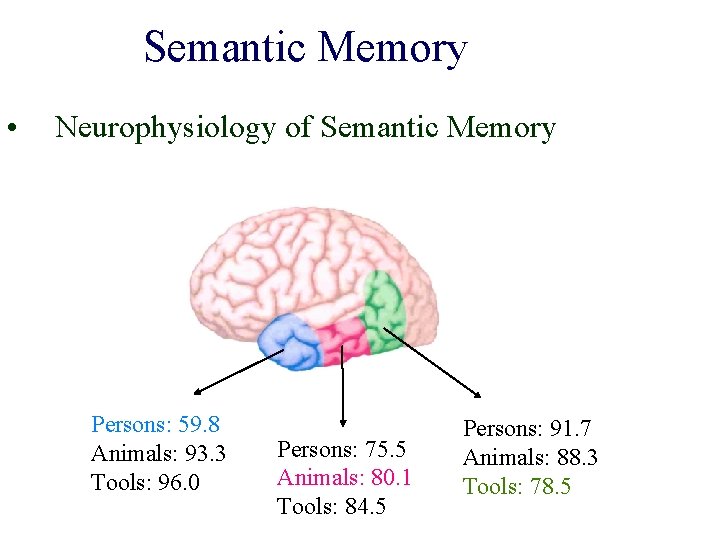 Semantic Memory • Neurophysiology of Semantic Memory Persons: 59. 8 Animals: 93. 3 Tools: