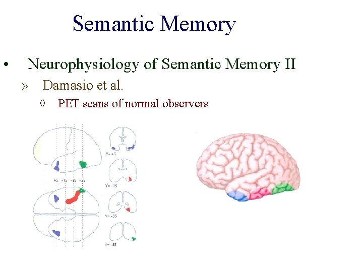 Semantic Memory • Neurophysiology of Semantic Memory II » Damasio et al. ◊ PET
