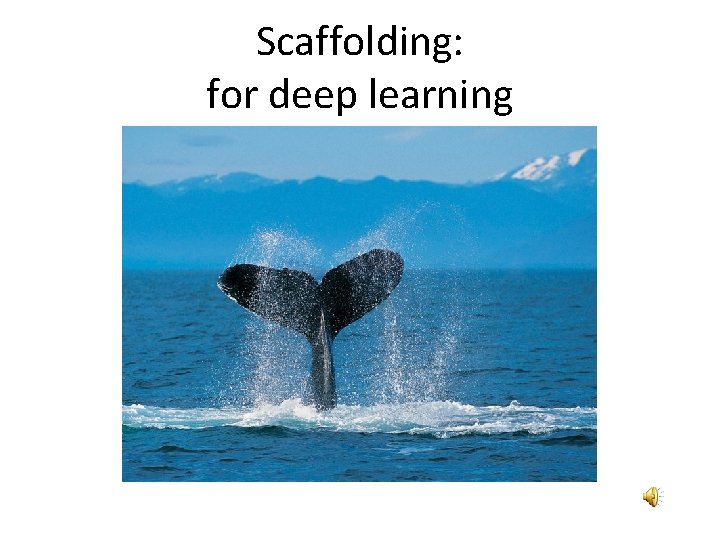 Scaffolding: for deep learning 