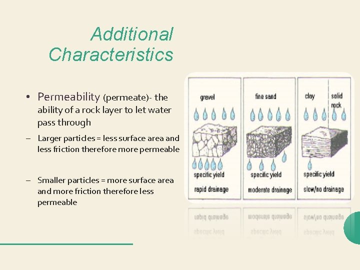 Additional Characteristics • Permeability (permeate)- the ability of a rock layer to let water