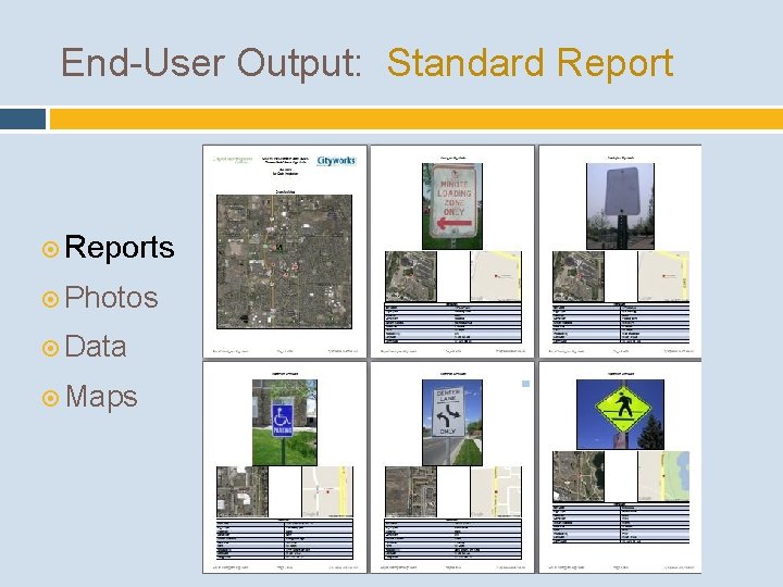 End-User Output: Standard Reports Photos Data Maps 