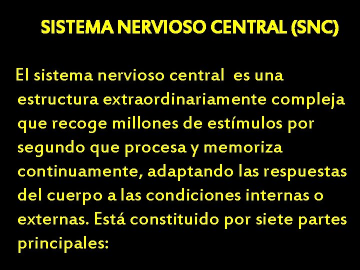 SISTEMA NERVIOSO CENTRAL (SNC) El sistema nervioso central es una estructura extraordinariamente compleja que