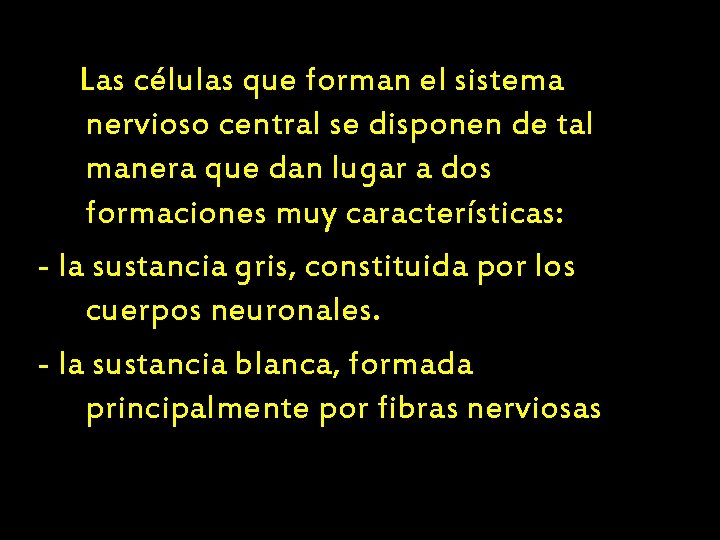 Las células que forman el sistema nervioso central se disponen de tal manera que