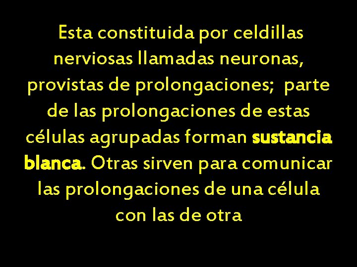 Esta constituida por celdillas nerviosas llamadas neuronas, provistas de prolongaciones; parte de las prolongaciones