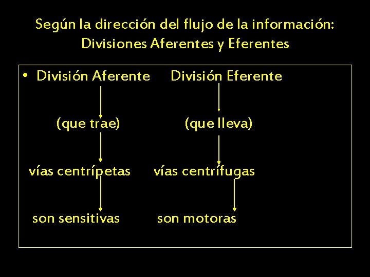Según la dirección del flujo de la información: Divisiones Aferentes y Eferentes • División