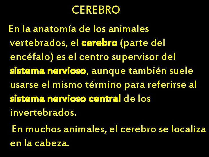 CEREBRO En la anatomía de los animales vertebrados, el cerebro (parte del encéfalo) es