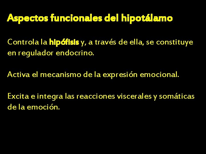 Aspectos funcionales del hipotálamo Controla la hipófisis y, a través de ella, se constituye