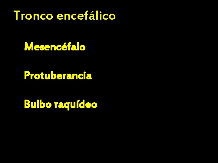 Tronco encefálico Mesencéfalo Protuberancia Bulbo raquídeo 