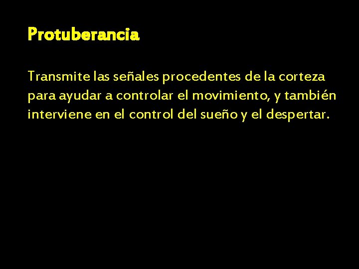 Protuberancia Transmite las señales procedentes de la corteza para ayudar a controlar el movimiento,