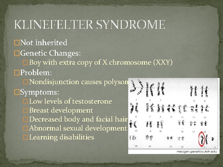 MISTAKES IN MEIOSIS GENETIC DISORDERS Chromosomal Abnormalities KARYOTYPES