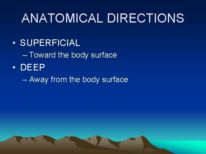 ANATOMICAL DIRECTIONS • SUPERFICIAL – Toward the body surface • DEEP – Away from