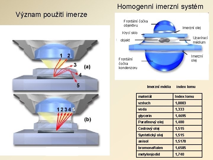 Význam použití imerze Homogenní imerzní systém Frontální čočka objektivu Imerzní olej Krycí sklo Uzavírací