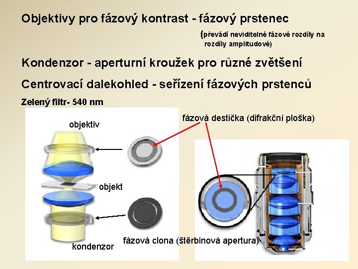 Objektivy pro fázový kontrast - fázový prstenec (převádí neviditelné fázové rozdíly na rozdíly amplitudové) Objektivy pro fázový kontrast - fázový prstenec (převádí neviditelné fázové rozdíly na rozdíly amplitudové)