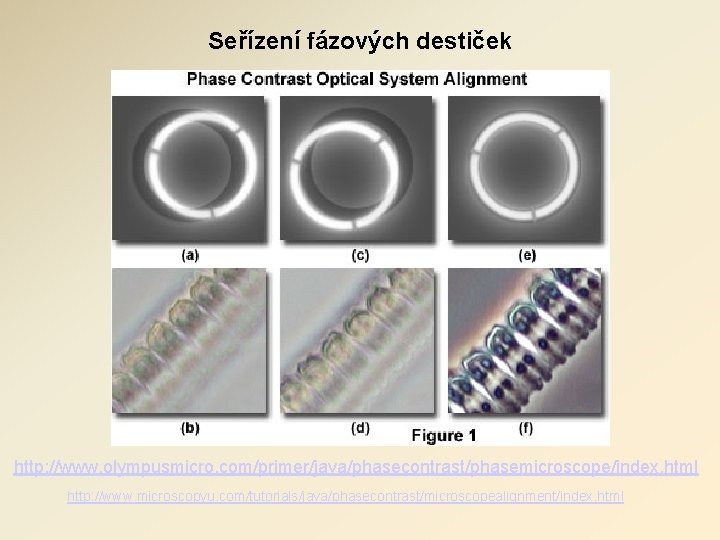 Seřízení fázových destiček http: //www. olympusmicro. com/primer/java/phasecontrast/phasemicroscope/index. html http: //www. microscopyu. com/tutorials/java/phasecontrast/microscopealignment/index. html 