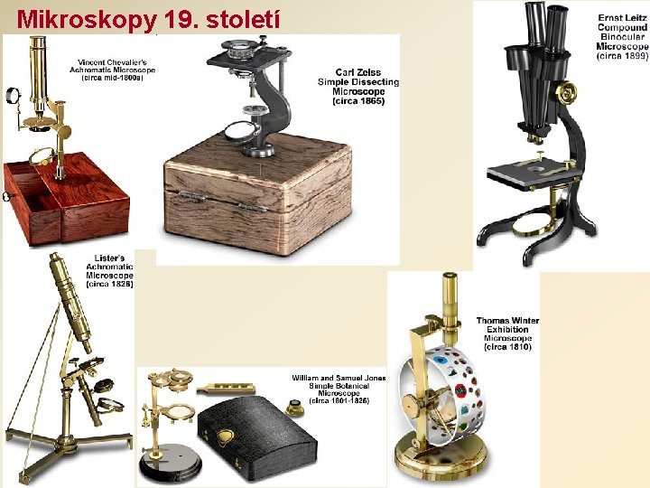 Mikroskopy 19. století 