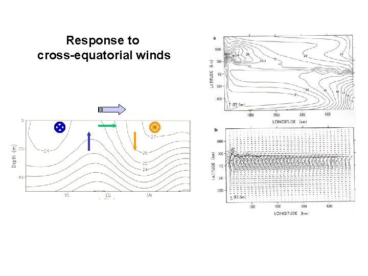 Response to cross-equatorial winds 