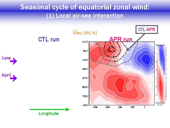 Seasonal cycle of equatorial zonal wind: (1) Local air-sea interaction CTL run June April