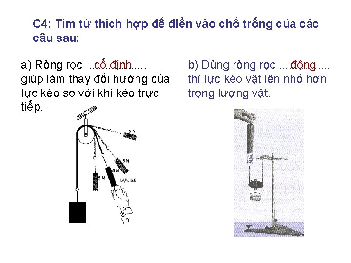 C 4: Tìm từ thích hợp để điền vào chổ trống của các câu