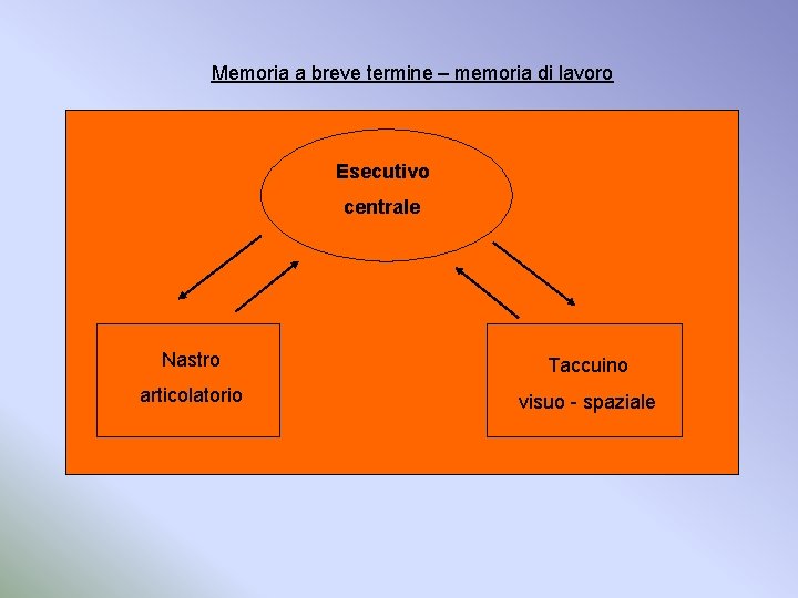 Memoria a breve termine – memoria di lavoro Esecutivo centrale Nastro Taccuino articolatorio visuo