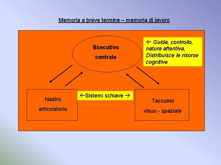 Memoria a breve termine – memoria di lavoro Esecutivo centrale Nastro articolatorio Sistemi schiave