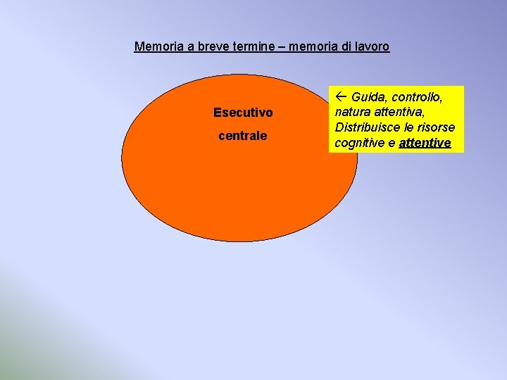 Memoria a breve termine – memoria di lavoro Esecutivo centrale Guida, controllo, natura attentiva,