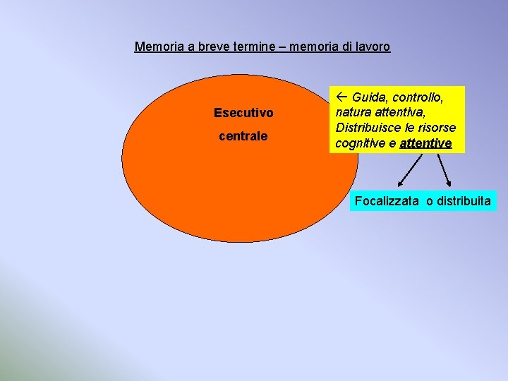 Memoria a breve termine – memoria di lavoro Esecutivo centrale Guida, controllo, natura attentiva,