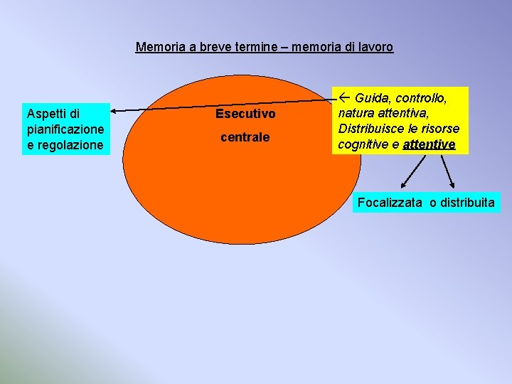 Memoria a breve termine – memoria di lavoro Aspetti di pianificazione e regolazione Esecutivo