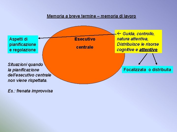 Memoria a breve termine – memoria di lavoro Aspetti di pianificazione e regolazione Situazioni